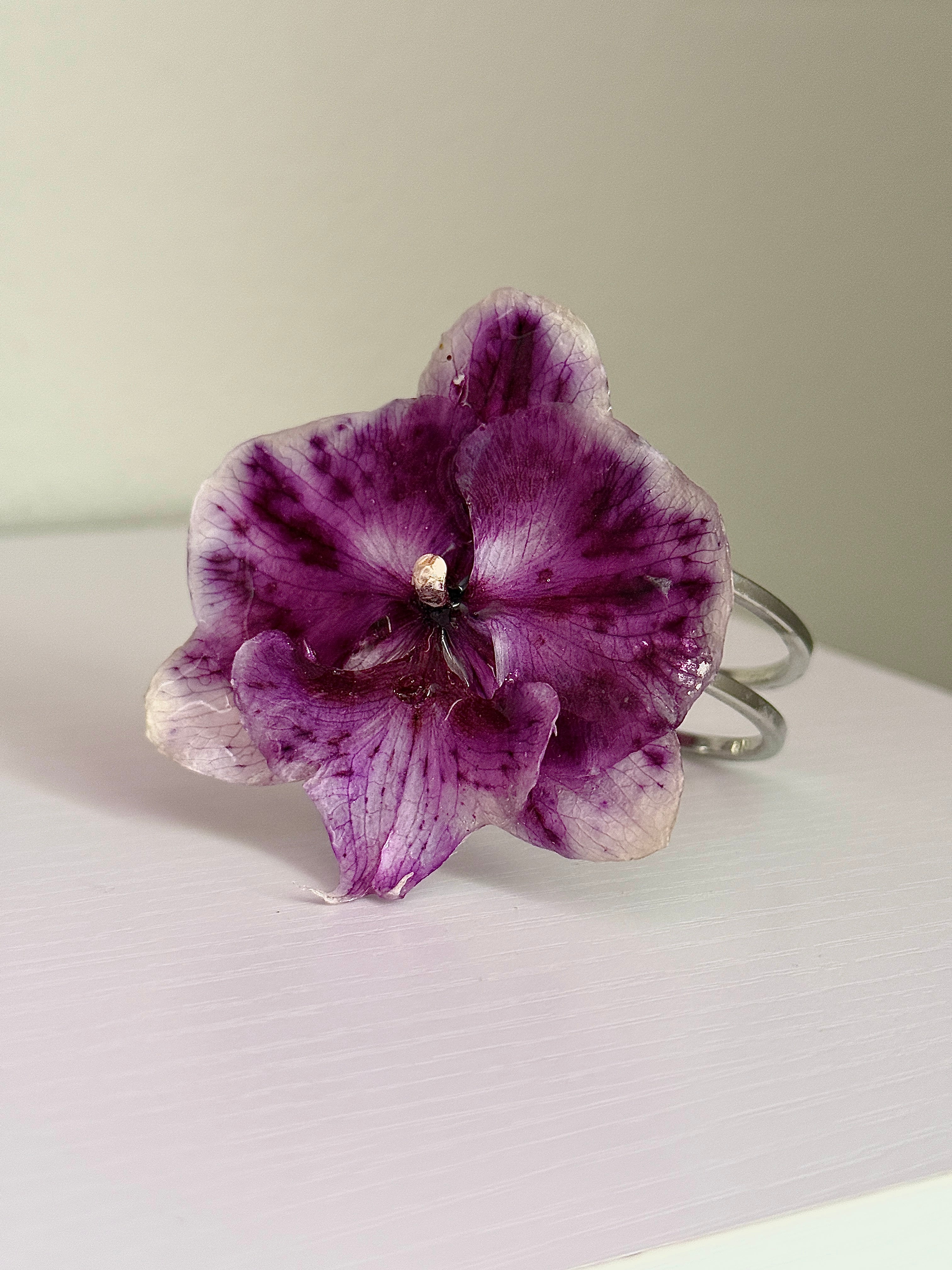 𝒫𝓊𝓁𝓈𝑒𝓇𝒶💜